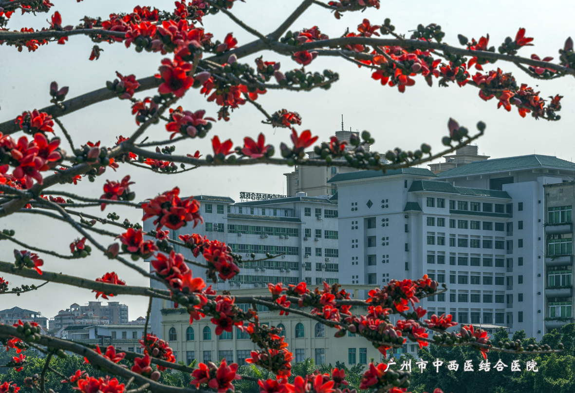 花团锦簇