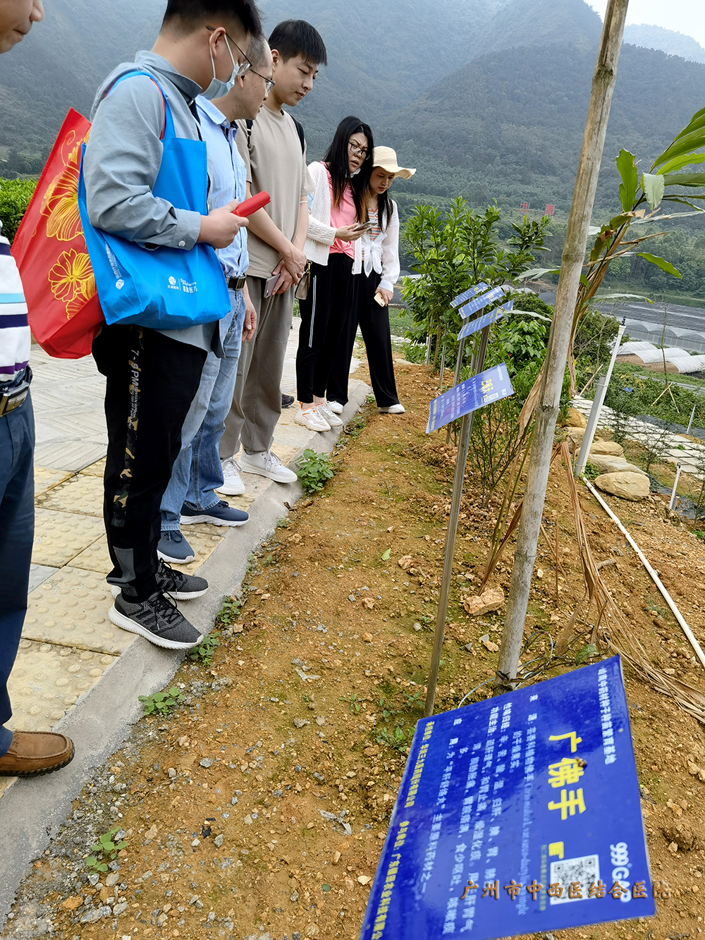 余应嘉《中药临床药师户外中药材实践学习》（药学部）