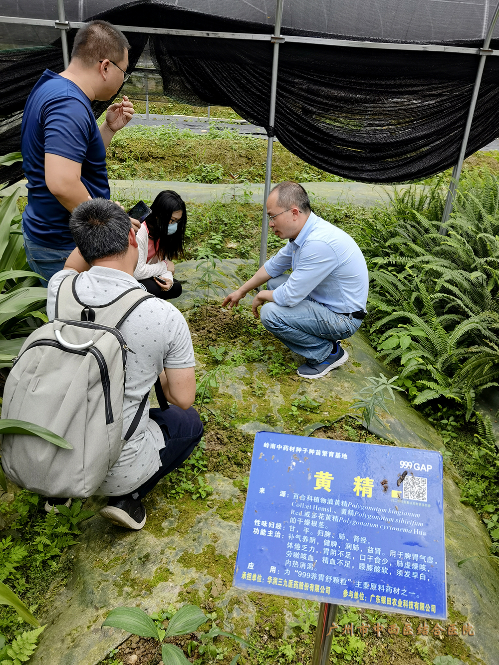 余应嘉《中药临床药师户外中药材实践学习2》（药学部）