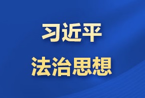 习近平法治思想